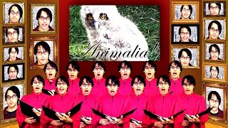 Animalia Chorus  A Capella Science [upl. by Atnohsal691]