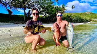 Spearfishing for Food on Tropical Islands Catch and Cook [upl. by Ferne]