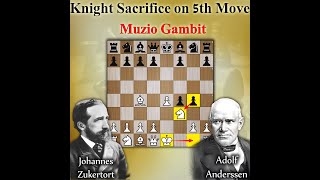 Knight Sacrifice on 5th Move  Muzio Gambit  Zukertort vs Anderssen 1865 [upl. by Lladnor]