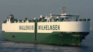 MANON  Wallenius Wilhelmsen Logistics vehicles carrier [upl. by Lamej644]