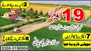 Land For Sale  19 Acre Agriculture Land For Sale  Zarai Zameen [upl. by Sidney]