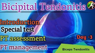 Day 3  Biceps Tendonitis  PT Assessment and PT management [upl. by Thatcher623]