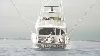 Fish Bluewaters Operation Sailfish Day 1 Team Surf Bum Sailfish Release [upl. by Tham66]