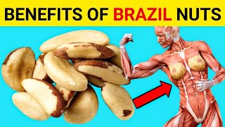 Brazil Nuts Proven Benefits of Brazil Nuts  What happens when we eat Brazil nuts [upl. by Mathilde328]