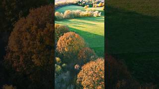 Autumn in Sevenoaks Stunning Woodland Views Captured with DJI Mini Proautomn sevenoaks [upl. by Conlee]