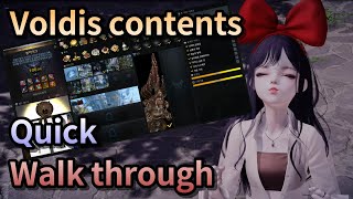 Lost Ark All Voldis contents quick walk through [upl. by Eerized]