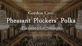 Pheasant Pluckers Polka  Pizzicato for String Orchestra Gordon Cree [upl. by Josi]