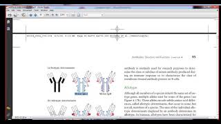 Immunology isotype allotypeidiotype determinants [upl. by Aneelehs374]