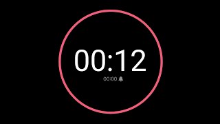 12 Second Countdown Timer  iPhone Timer Style [upl. by Ahsekal]