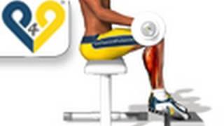 Exercices Musculation mollets assis avec barre [upl. by Raynata861]