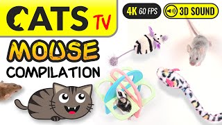 GAME FOR CATS  The Best MOUSE Compilation 🐭🙀 4K 60FPS Cats TV [upl. by Ottilie]