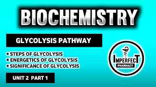 Glycolysis Pathway  Energetics And Significance Of Glycolysis  Carbohydrates Metabolism  Biochem [upl. by Notneuq]