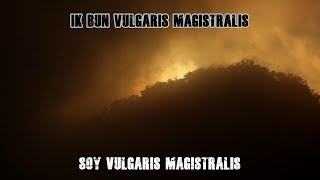 Normaal – Vulgaris Magistralis Lyrics EspNld [upl. by Delwyn]