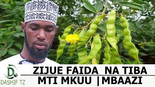 ZIJUE FAIDA NA TIBA ZA MTI MKUU MBAAZI SHEIKH YUSSUF BIN ALLY [upl. by Marty]