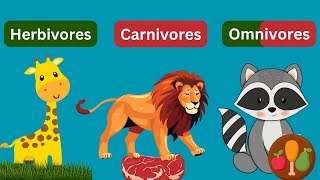 Herbivores Carnivores and Omnivores Animal  Types of Animal [upl. by Kadner75]