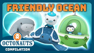 Octonauts  🫶 FRIENDLY Ocean 🪸  3 Hours Full Episodes Marathon  Underwater Sea Education [upl. by Nelan674]