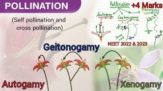 Autogamy Geitonogamy and XenogamyBest way to understand different types of pollination NEET bio [upl. by Atteirneh808]