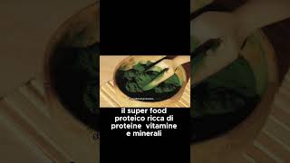 ALGA SPIRULINA IL SUPERFOOD PROTEICO [upl. by Ardnuasal]