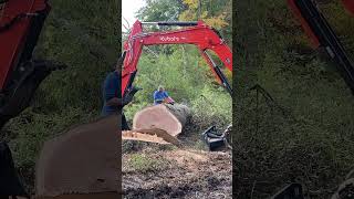 Kubota KX080 Loading 8000 lb Log Shorts [upl. by Eatnohs]