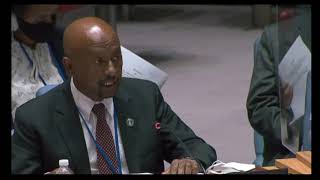 Dr Engr Sileshi Bekele speech at the UNSC 🇪🇹 [upl. by Jordanson]