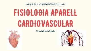 Fisiologia aparell cardiovascular [upl. by Paulie]