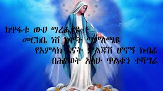 tewodros yosef kidanemihretኪዳነምህረት lyrics [upl. by Bonacci]