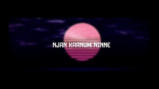 Intoned Destiny  Njan Kaanum Ninne Lyric Video [upl. by Gerladina]