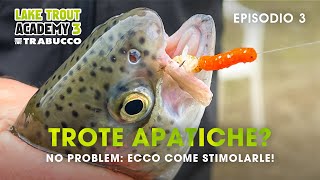 Pescare TROTA LAGO ECCO COME stimolare le TROTE apatiche LAKE TROUT Academy S3E3trabuccofishing [upl. by Reviel]