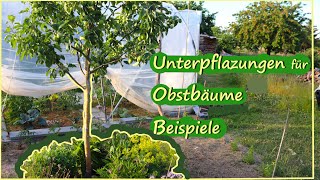 Unterpflanzungen für Obstbäume Beispiele  Permakultur [upl. by Eseilanna986]