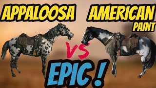 RDR 2 Appaloosa VS American Paint Horse Battle EPIC [upl. by Gelasias860]