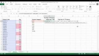 Excel COUNTIFS amp SUMIFS using Wildcards  and [upl. by Leupold994]