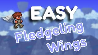 the easiest to get fledgling wings in terraira 1449 2024 [upl. by Peedus460]