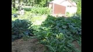 Maple Bottom Permaculture Homestead [upl. by Broddy]