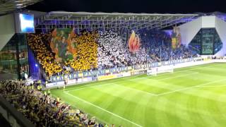 Coregrafie petrolul steaua [upl. by Darrill]