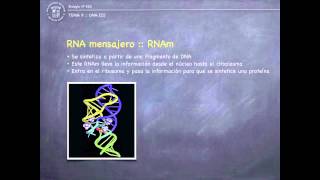 Tema 9 I  RNA y Transcripción [upl. by Anitnelav621]