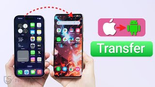 OfficialHow to Transfer Data from iPhone to Android for Free 2024 [upl. by Winona727]