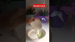 Turkish Cacikhow to make Turkish Cacik cacık cucumber turkishfood [upl. by Doowron]