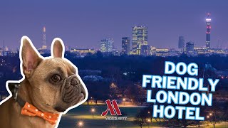 Our Dog Friendly Weekend In London  Dog Vlog  Marriott Hotel Regents Park Stay [upl. by Bengt]