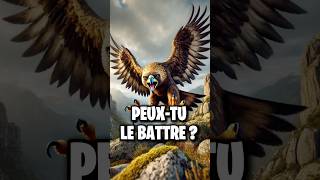 Top 10 des oiseaux les plus dangereux [upl. by Lletnahc]