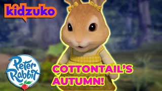 OfficialPeterRabbit  🐰🍂 Autumn Adventure with Cottontail 🍂🐰  Compilation  Kidzuko [upl. by Ikim442]