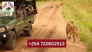 luxury Kenya safari with Bushtroop Tours and Safaris [upl. by Annadal]