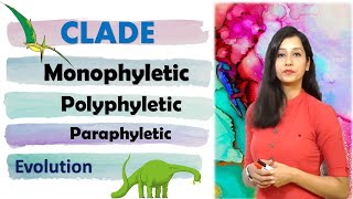 Phylogenetic tree I Clade I Monophyletic I Paraphyletic I Polyphyletic II Evolution [upl. by Pennie]