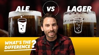 Ale vs Lager Beer — Whats the Difference [upl. by Namolos338]