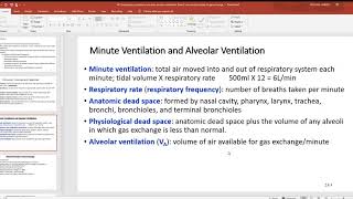 48 Compliance pulmonary volumes alveolar ventilation Dalton’s law and principles of gas exchange [upl. by Ettolrahs]