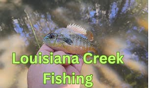 Louisiana Creek Fishing [upl. by Maggs]