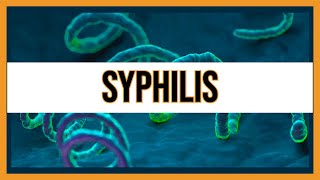 Syphilis Treponema Pallidum [upl. by Niple672]