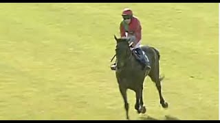 Horse Racing Death 199  Bronson FSure at Wetherby Racecourse [upl. by Aimas]