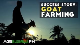 Goat Farming  Goat Farming Success Story  Agribusiness Philippines [upl. by Eiuqnom]