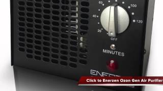 Enerzen Ozon Generator Air Purifier Review [upl. by Letreece661]