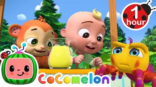 Itsy Bitsy Spider  CoComelon Animal Time  Learning with Animals  Nursery Rhymes for Kids [upl. by Rashidi]